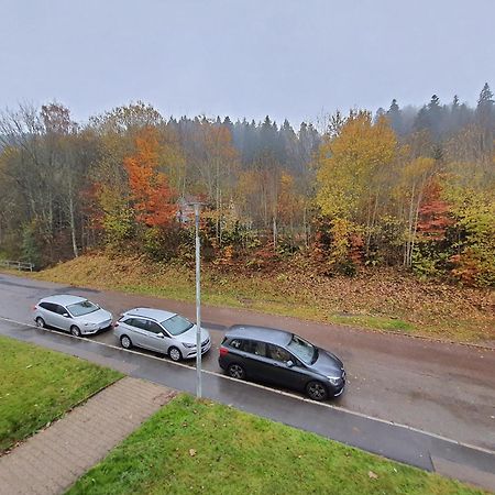 2 Rooms Apartment In Triberg Triberg im Schwarzwald Exterior foto